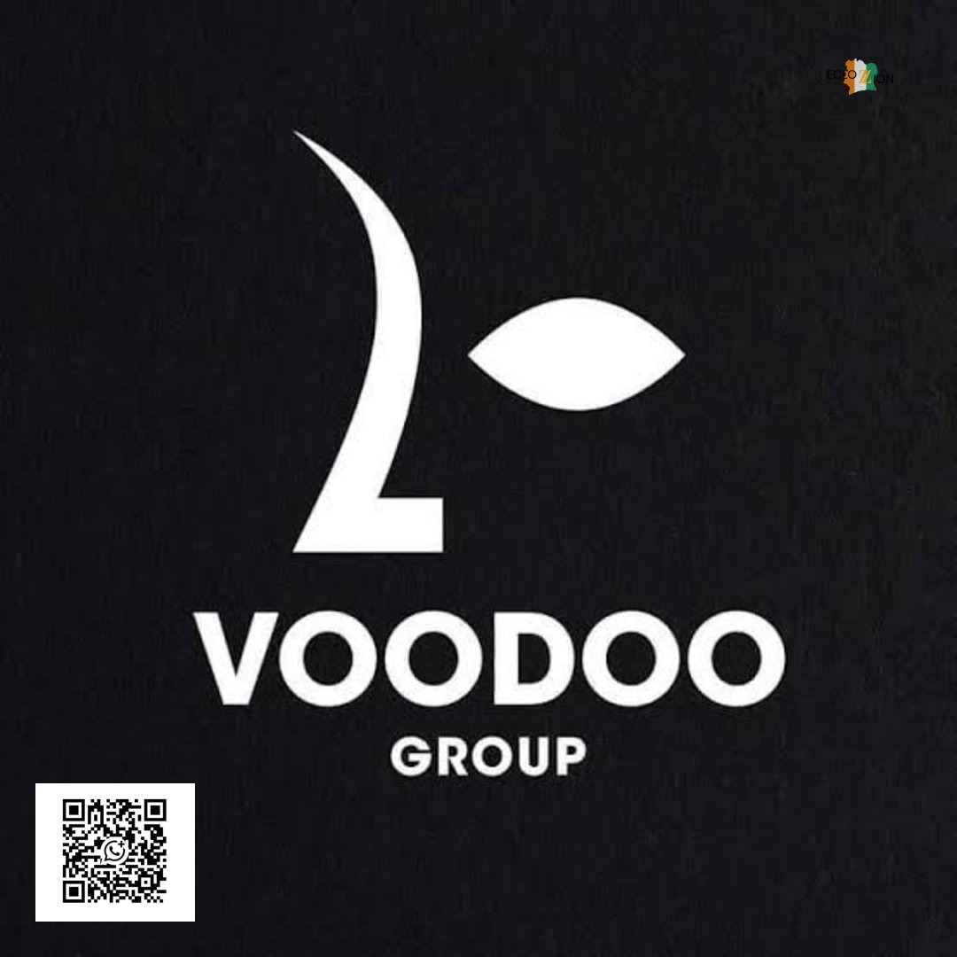 Recrutement De Plusieurs Profils Chez Voodoo Group